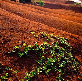 类银河城动作游戏《锈苔》大型内容更新6月20日上线 同步登陆主机平台